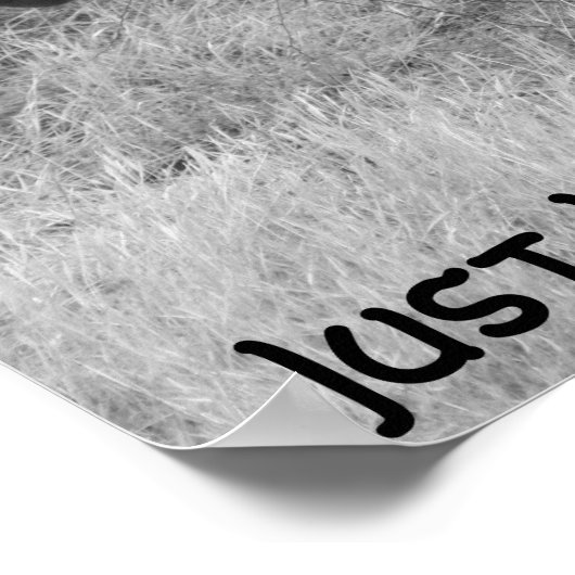 Citation et affiche Zebra (Coin)