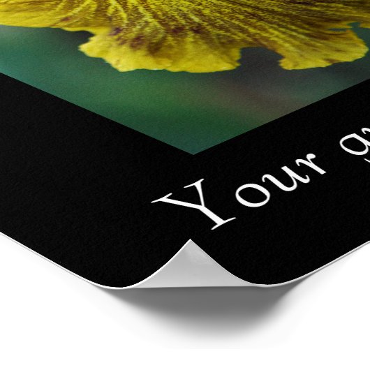 Citation Inspiration Iris Poster Fleur (Coin)