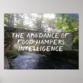 Citation latine poster Seneca intelligence (Devant)