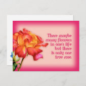 Citation peinte carte postale rose d'art (Devant / Derrière)