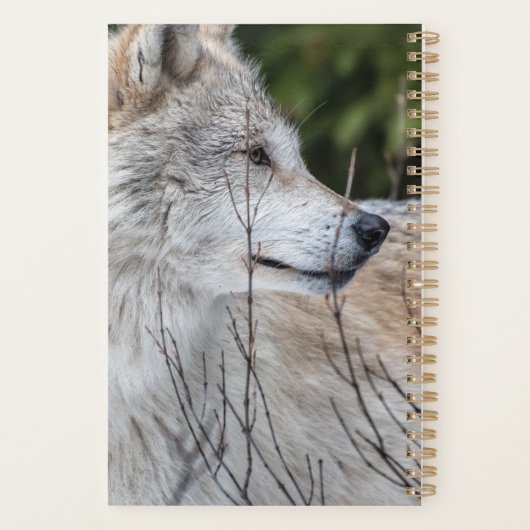 Citation sur l'inspiration de l'image Wolf (Dos)