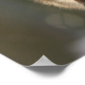 Citation sur Wolf Image Encouragement Poster (Coin)