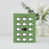 citation unique brebis noir carte postale unique (Debout devant)