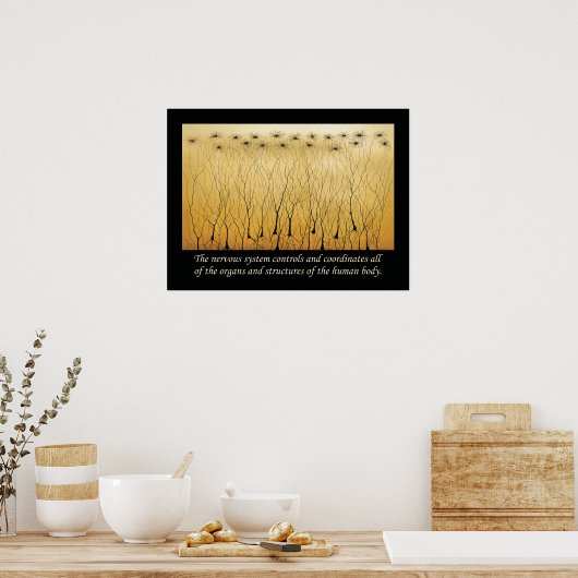 Citations de chiropratique Poster du système nerve (Cuisine)