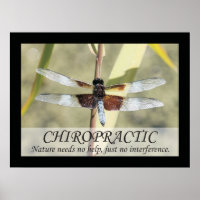 Citations et déclarations de chiropratique Poster
