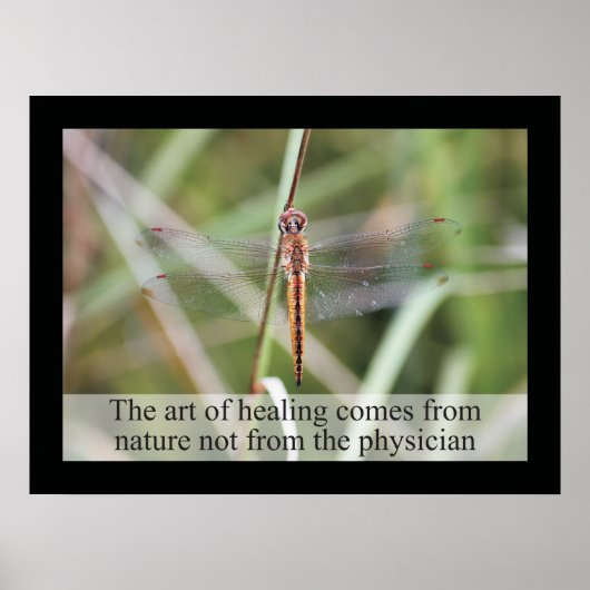 Citations et déclarations de chiropratique Poster (Devant)