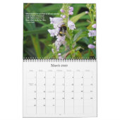 Citations pour l'option F de calendrier de la vie (Mar 2026)