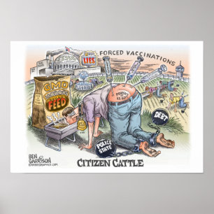 Citizen Cattle 19" x 13", Poster Semi brillant