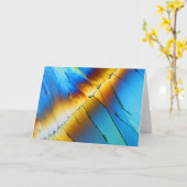 Citric acid under the microscoop kaart (Gele Bloem)