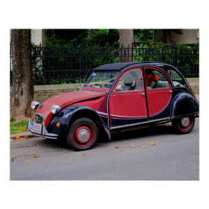Citroen 2 CV Charleston Perfect Poster