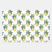 Citroen Citrus Blauwe Vlinders Inpakpapier Vel (Voorkant)