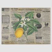  citroen fruitteelt Ads Ephemera Tissuepapier (Voorkant)