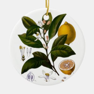 Citroen Keramisch Ornament