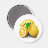 citroen magneet (Voorkant / Achterkant)