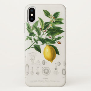 Citroen Sinaasvrucht Botanische Limonium Illustrat iPhone X Hoesje