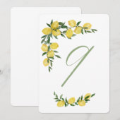 Citroen Tafel Nummer Negen Kaart (Voorkant / Achterkant)