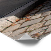 Citroen Type H Van Poster (Hoek)