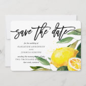 Citroen Waterverf Sla het Datumscript op Save The Date (Voorkant)