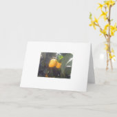 Citroenen? Kaart (Gele Bloem)