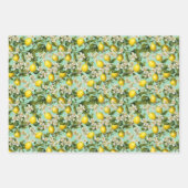 Citroenen Patroon Inpakpapier Vel (Voorkant 2)