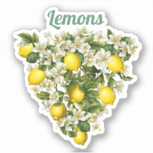 Citroenen Sticker