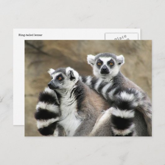 citroenkoppel briefkaart (Voorkant / Achterkant)