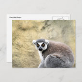 citroenstaart briefkaart (Voorkant / Achterkant)