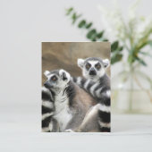 citroenstaarten briefkaart (Staand voorkant)