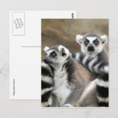 citroenstaarten briefkaart (Voorkant / Achterkant)