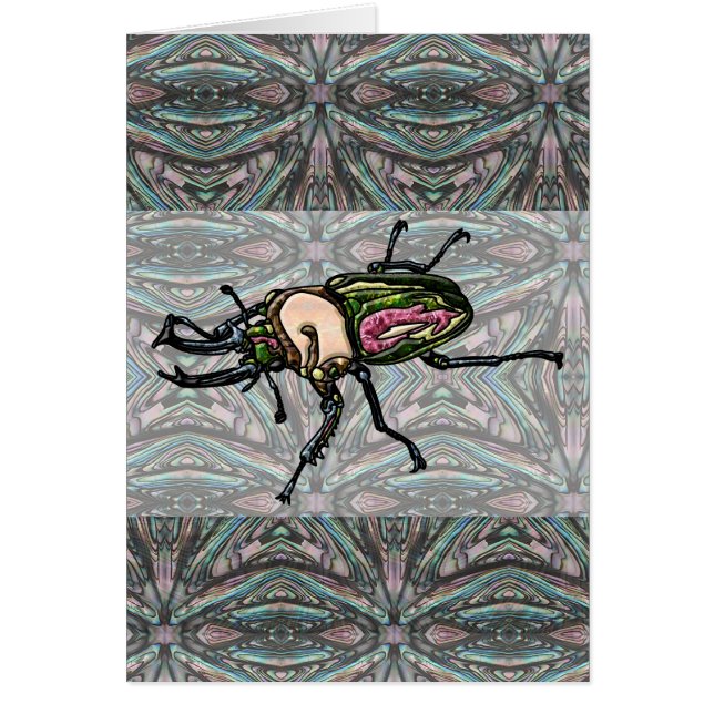 Citron arc-en-ciel (Devant)