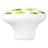 Citron, chaux et bouton orange de buffet de (Côté)