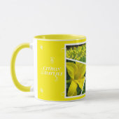 Citron Daylily [Combo Mok] Mok (Links)