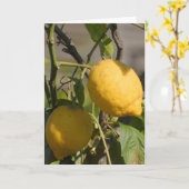 Citron espagnol sur l'arbre Cartes de voeux (Fleur jaune)