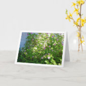 Citronella Plant met Floral Kaart (Gele Bloem)