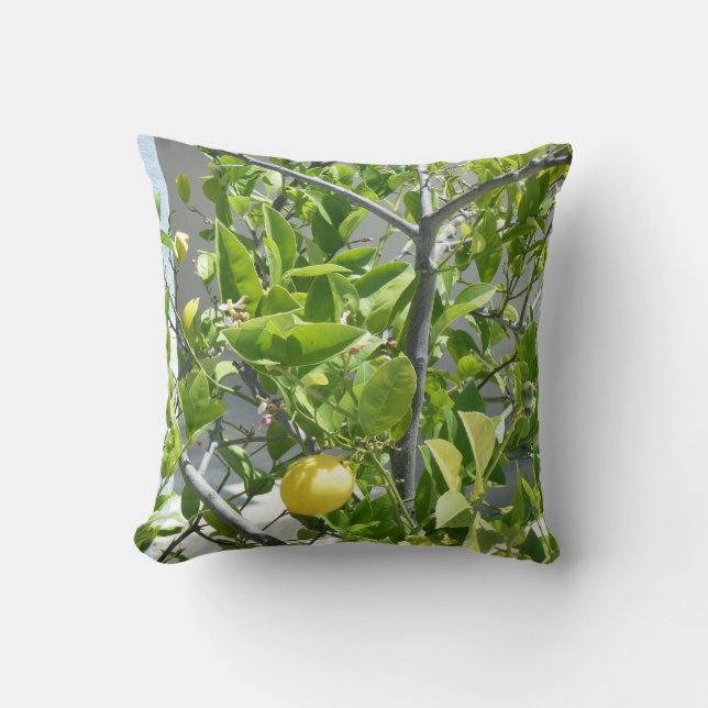 Citronnier très beau sur ceci coussin ! (Recto)
