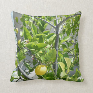 Citronnier très beau sur ceci coussin !