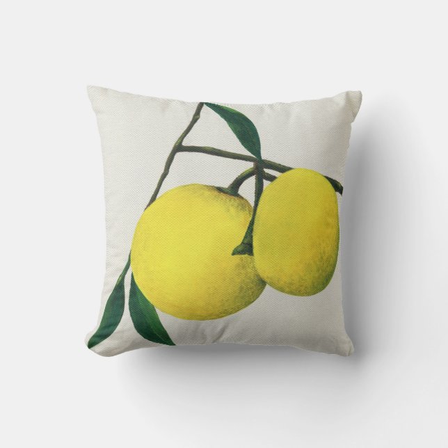 Citrons de coussin d'art - carreau (Recto)