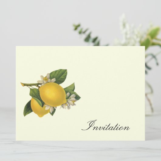 Citrons - Invitations Vintages (Debout devant)