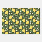 Citrons jaunes, Feuilles verts et fleurs blanches (Devant)