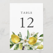 Citrons rustiques Citrus 5x7 Cartes Numéro de tabl (Dos)