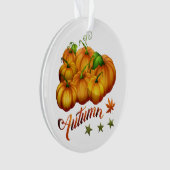 Citrouille d'automne (devant)