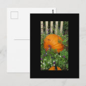 Citrouille d'automne carte postale (Devant / Derrière)