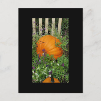 Citrouille d'automne carte postale