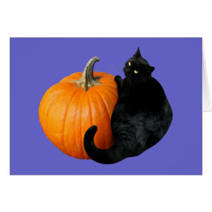 Citrouille de chat noir