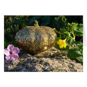 Citrouille or et fleurs à quatre heures