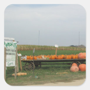 Citrouille Patch Automne Automne Halloween Sticker