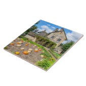 Citrouille patch et construction agricole carreaux (Côté)