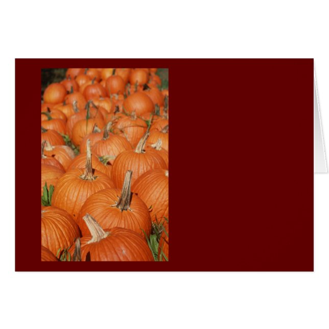 CITROUILLES ! (Devant horizontal)