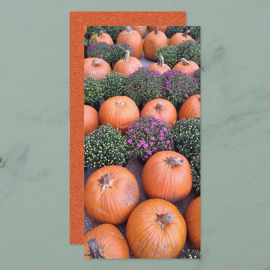 Citrouilles à la carte de marché
