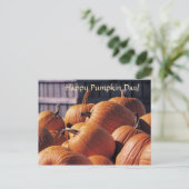 Citrouilles dans un bac - Carte postale d'Hallowee (Debout devant)